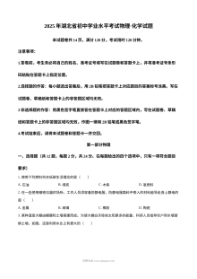 2025年湖北省人教版初三中考物理真题试卷