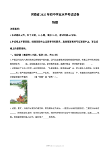 2025年河南省中考物理真题试卷（人教版·初三）