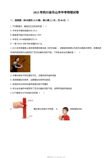 2023年四川省乐山市中考物理真题（原卷版·人教版）